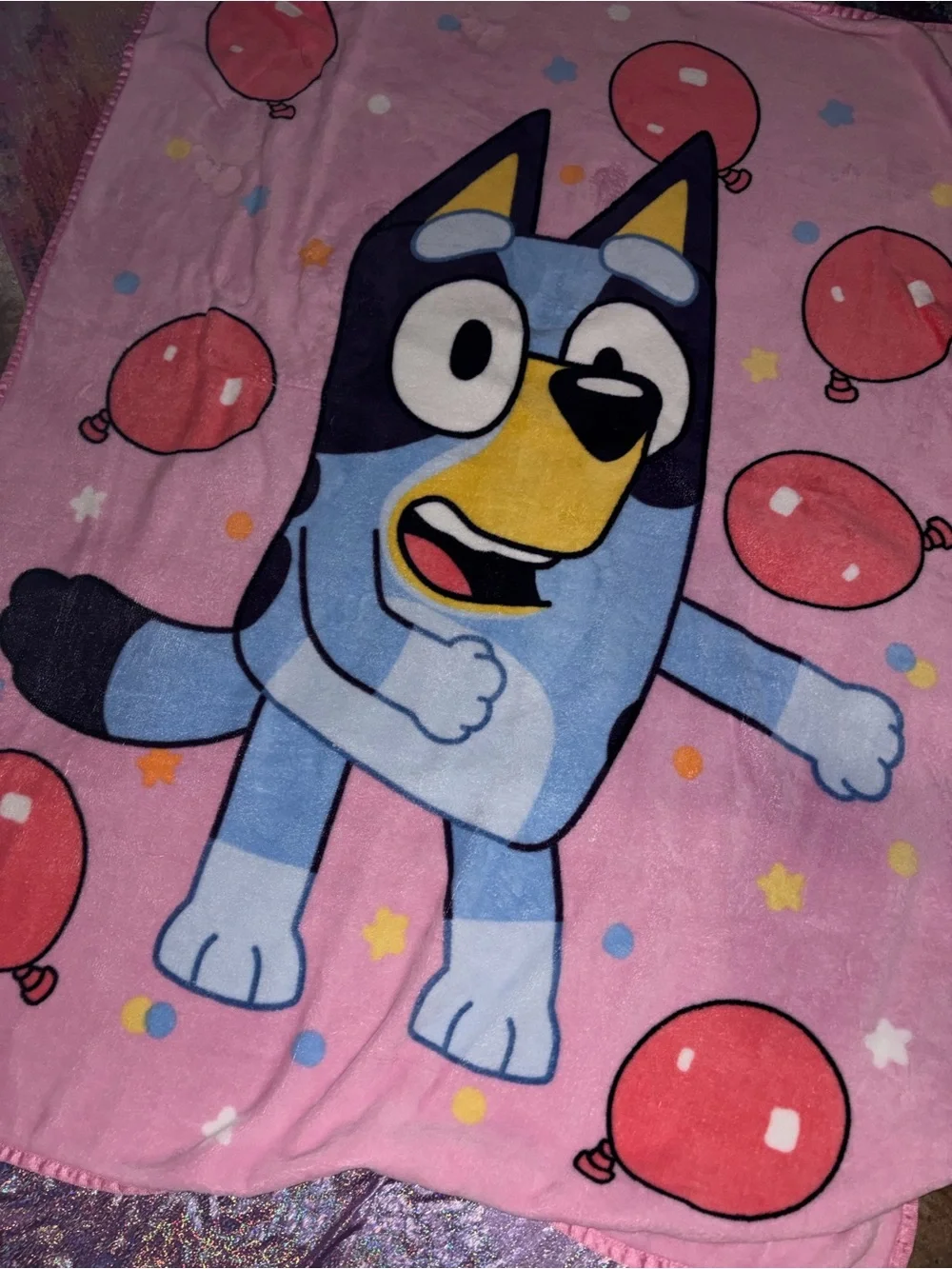 Kids Bluey Blanket
